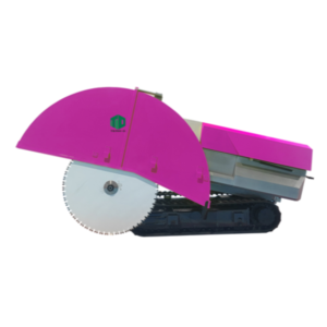 Team-D AGV Floor Saw